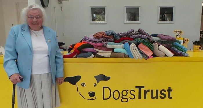 Maisie Green tricote pour les chiens SDF