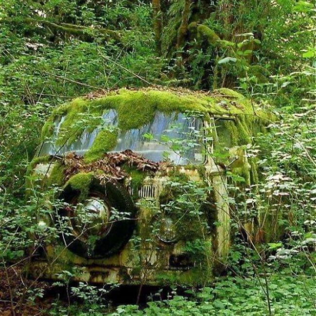 Dame Nature reprend ses droits