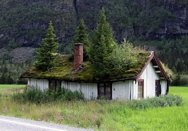 Dame Nature reprend ses droits