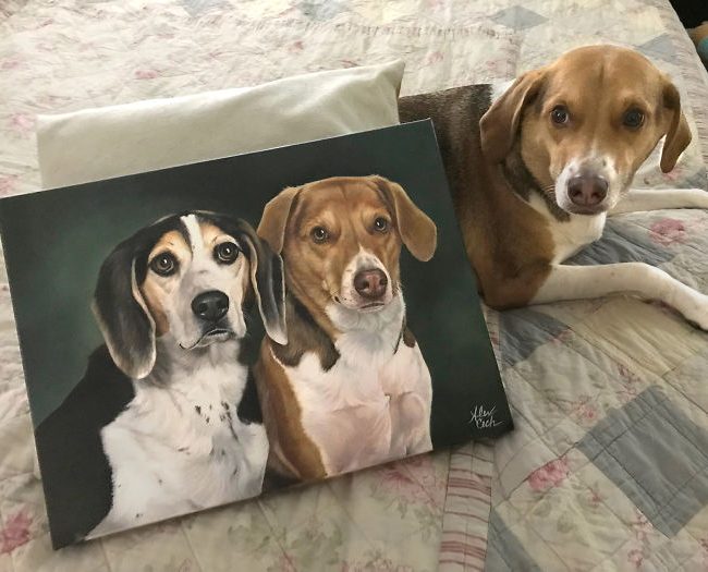 Portrait de superbes animaux