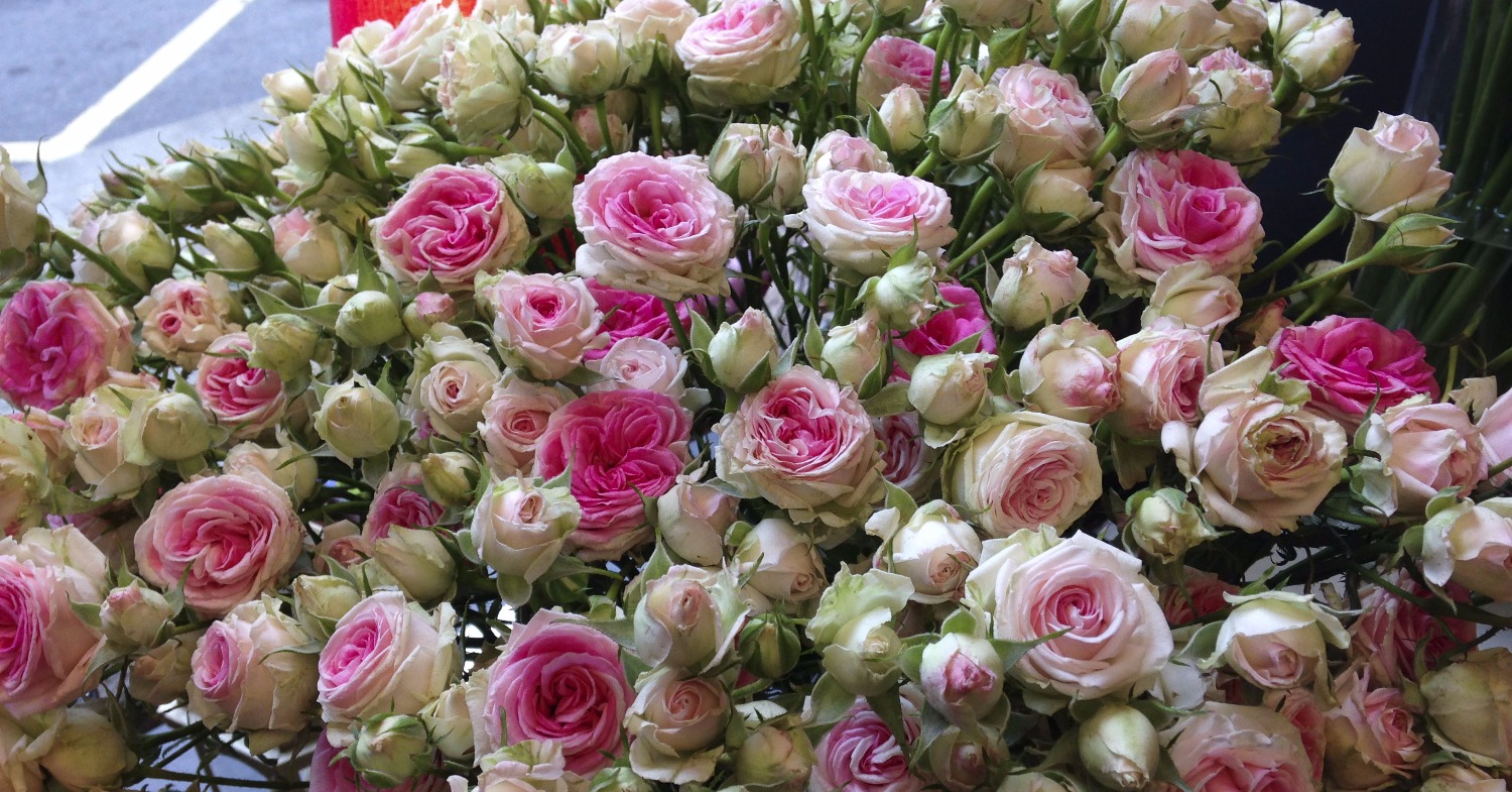 Des bouquets de fleurs et de la musique pour se détendre