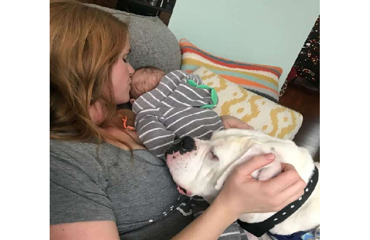 Un bébé et son chien sont de vrais amis
