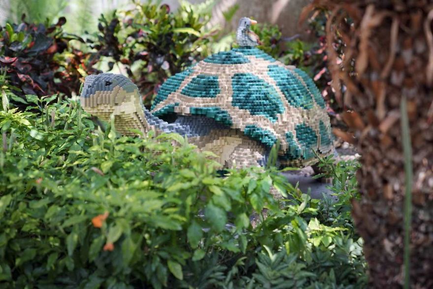 Des animaux en briques LEGO dans un zoo au Texas