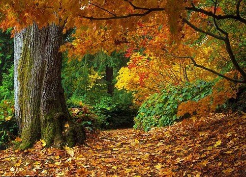 Un automne plein de couleurs pour les amoureux de la nature