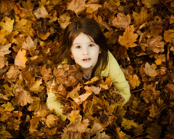 Un automne plein de couleurs pour les amoureux de la nature